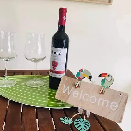 Casa Da Palmeira Apartmán São Bernardino