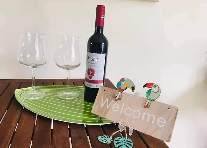 Casa Da Palmeira アパート São Bernardino