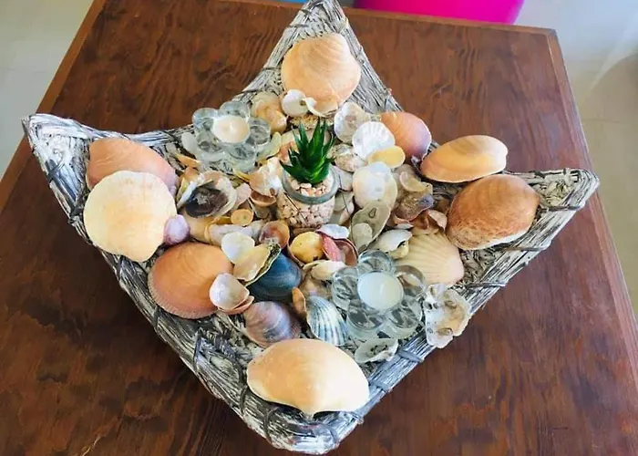 Casa Da Palmeira São Bernardino